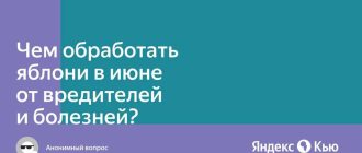 Какие средства использовать для обработки яблони в июне?