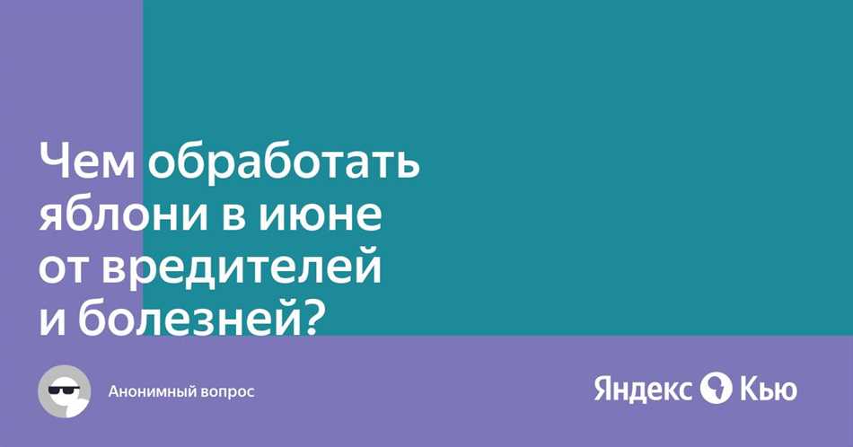 Чем можно обработать яблоню в июне?