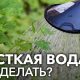 Чем можно смягчить жесткую воду для полива цветов герани в домашних условиях?