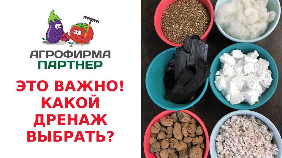 Чем можно заменить дренаж для цветов в домашних условиях в горшке?