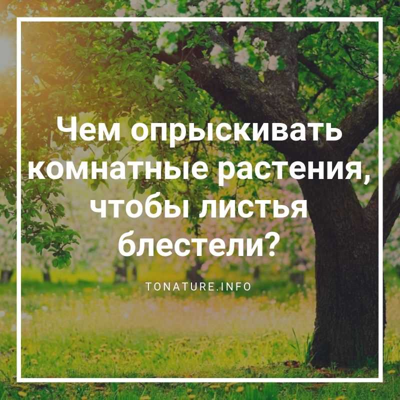 Опрыскивание способствует активному росту и процветанию