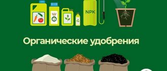 Чем отличаются органические и неорганические удобрения?