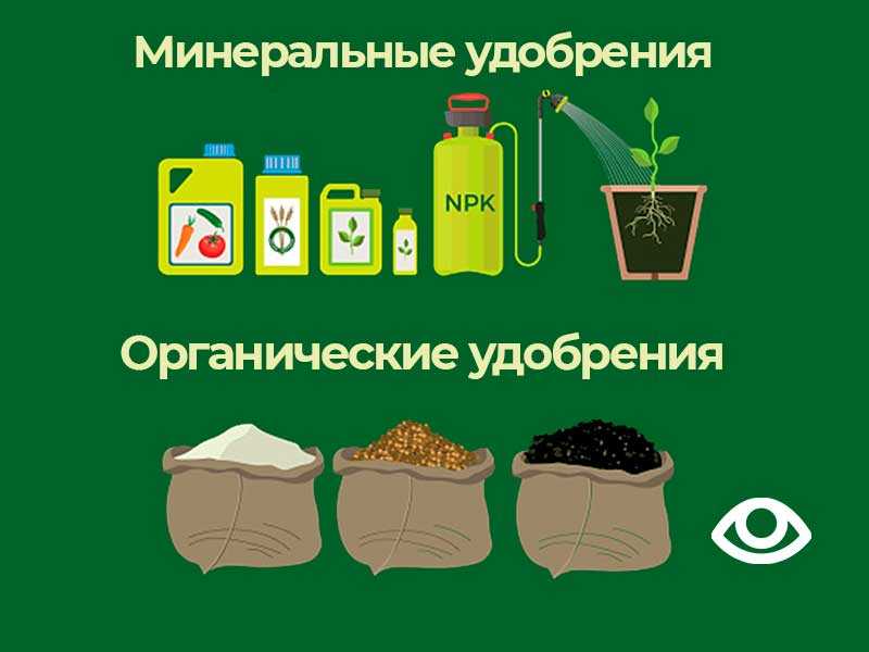 Чем органические удобрения отличаются от неорганических?