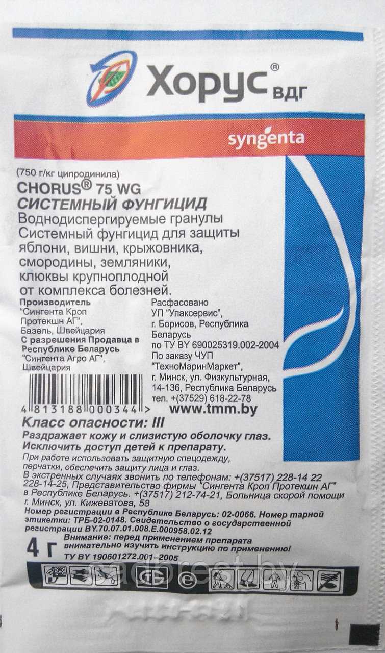 1. Хармония и мелодичность