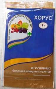 Чем отличается хорус от скора?
