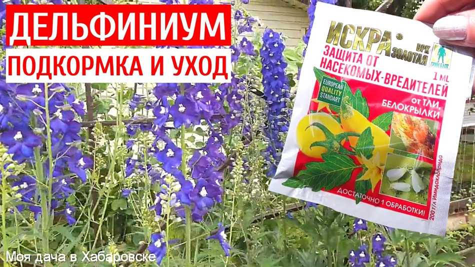 Какие питательные вещества нужны дельфиниумам?