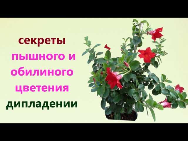 Микроэлементы