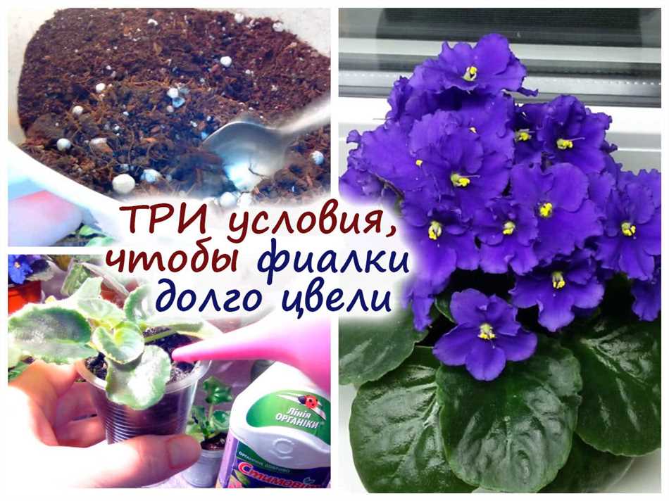 Минеральные удобрения для фиалок