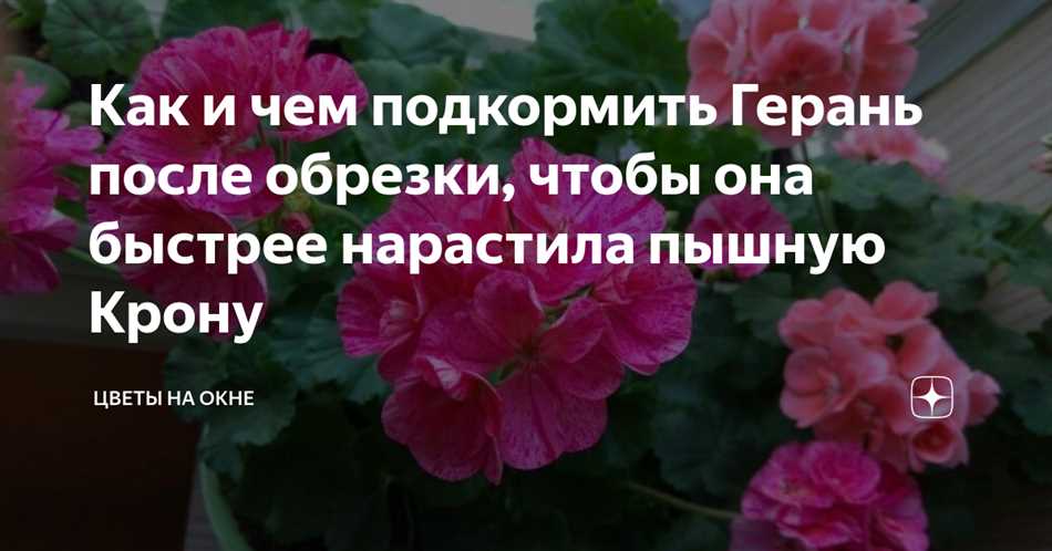 4. Применяйте удобрение в соответствии с инструкцией