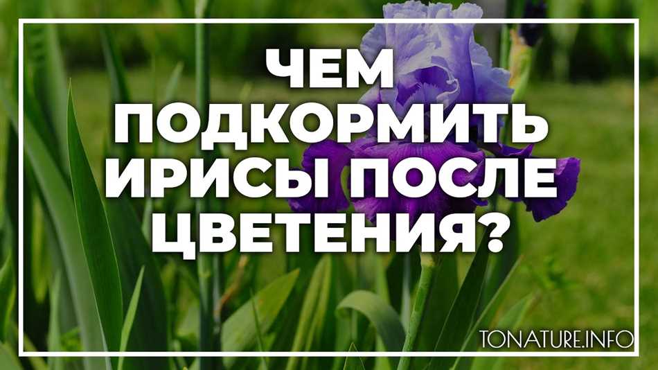 Фосфорно-калийные удобрения для подкормки ирисов после цветения