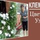 Подкормка клематиса во время цветения: как правильно выбрать удобрение