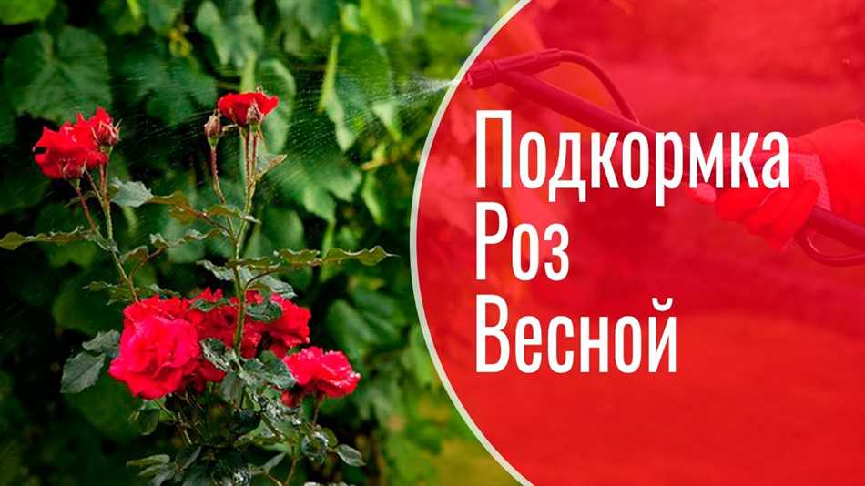 1. Органические удобрения: