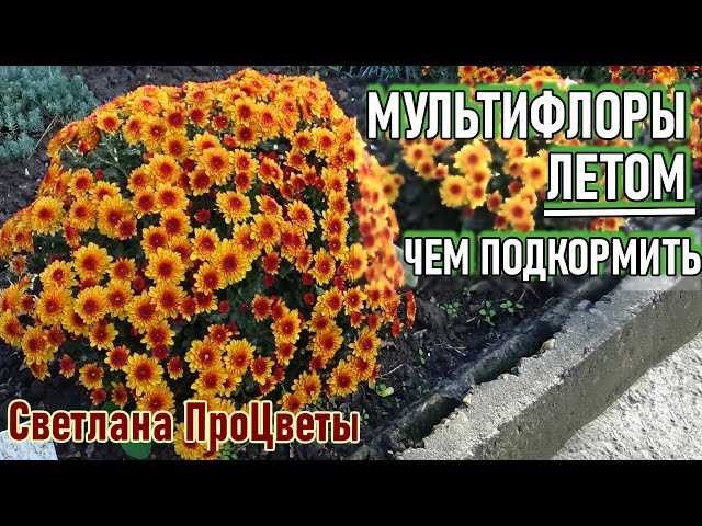 Органические удобрения