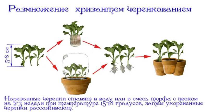 2. Минеральные удобрения