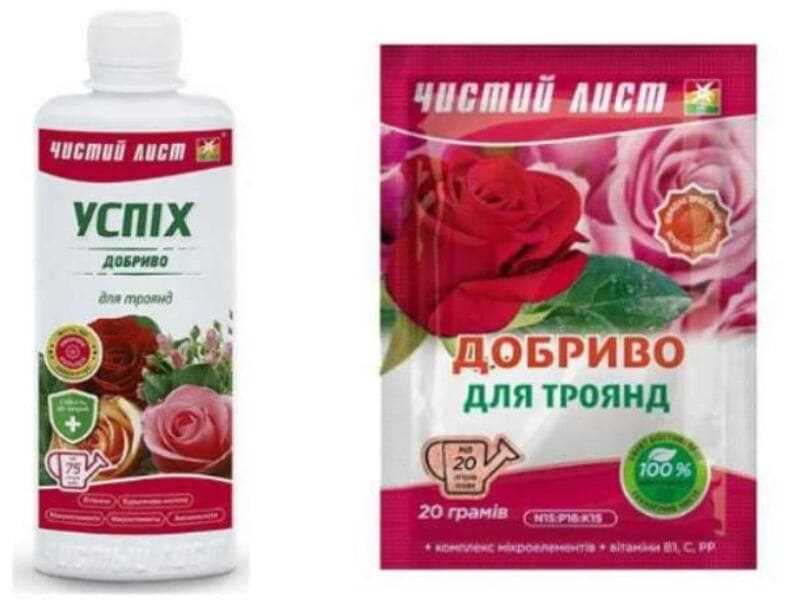 Чем подкормить розы первого года посадки?
