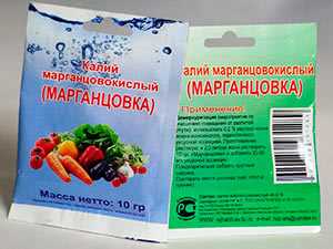 Чем полезна марганцовка для комнатных растений?