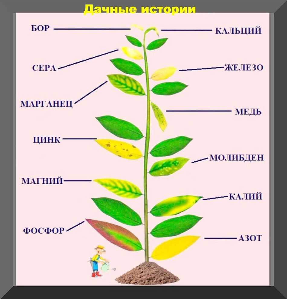 Рыбная мука