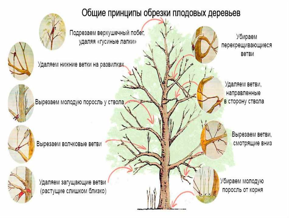 Как выбрать правильный материал для замазки?