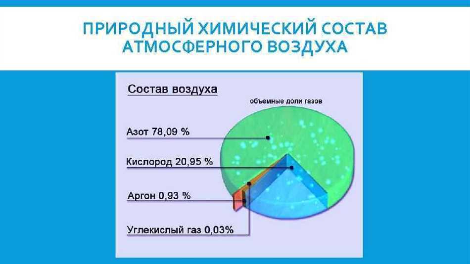 Кислород и его значимость для растений