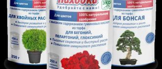 Азотсодержащие удобрения: зачем комнатным растениям нужен азот?