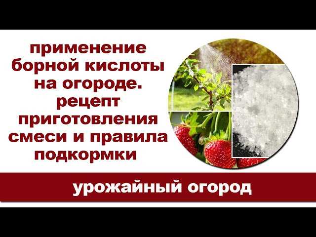 Что делает борная кислота в огороде что с ней можно делать?