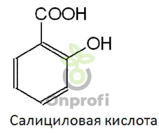 Что делает салициловая кислота для растений?