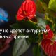 Почему не цветет антуриум: причины и варианты решения