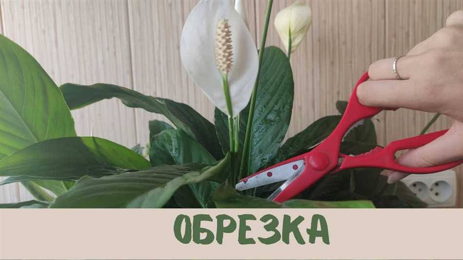 Заключение