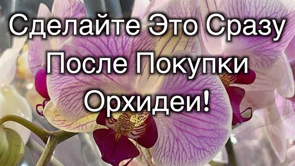 1. Размещение и освещение
