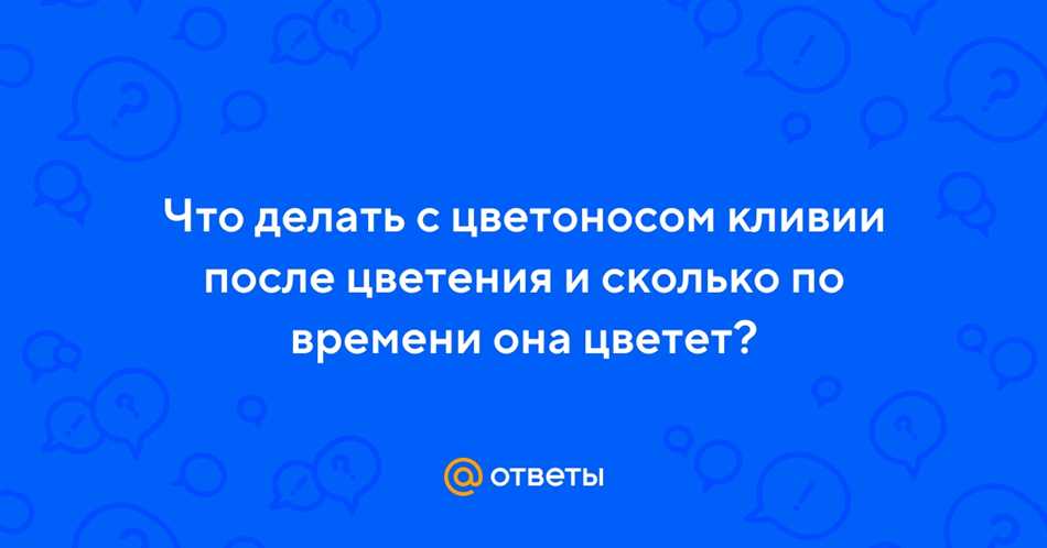 Что делать с цветоносом кливии после цветения?