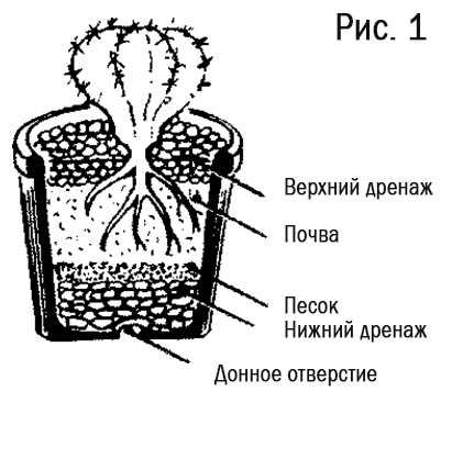 Отличительные особенности альтернативного материала