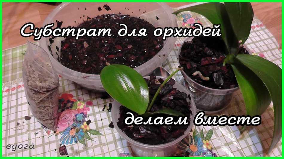 Керамзит - идеальный материал для грунта орхидей