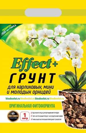 Кора дерева
