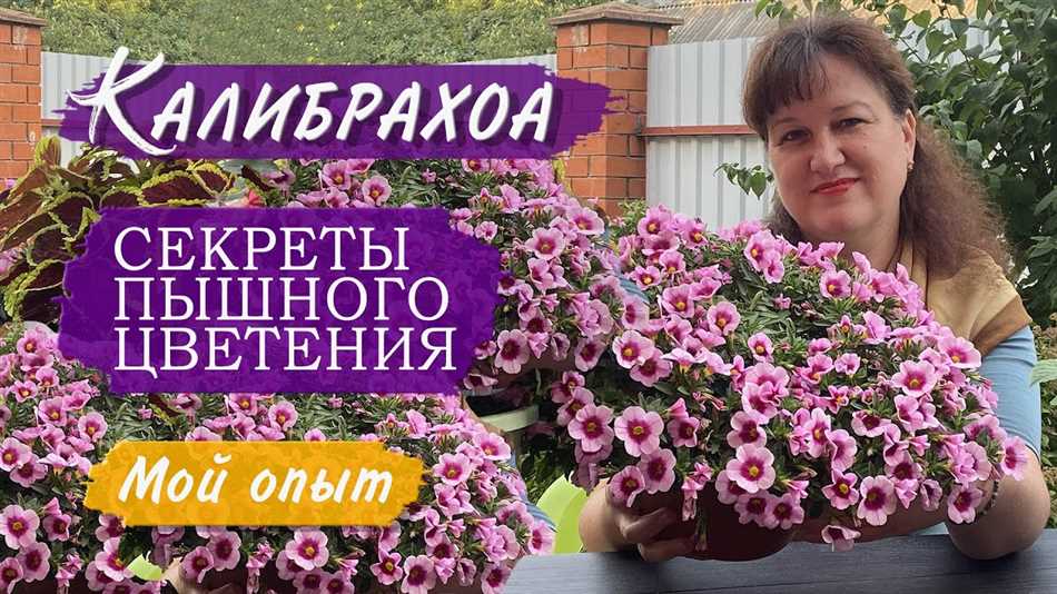 Регулярное удобрение минеральными удобрениями