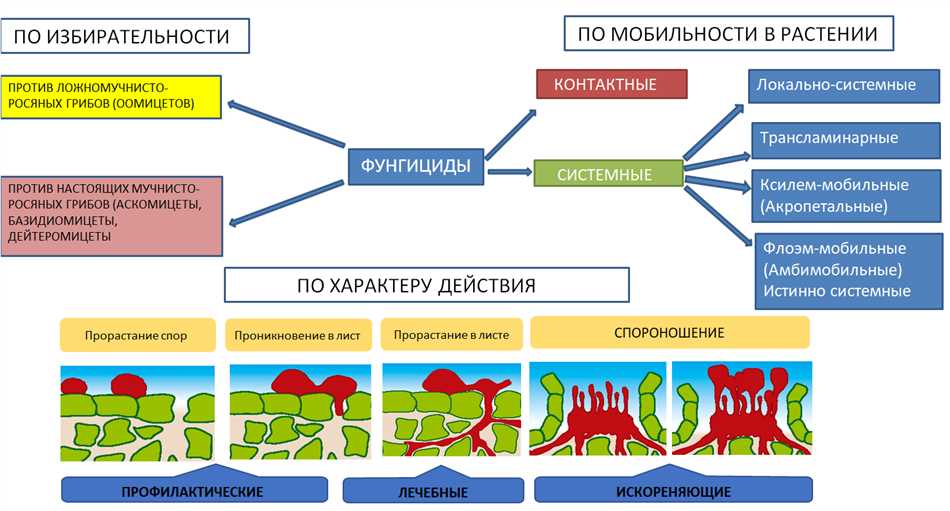 Что относится к фунгицидам для растений?