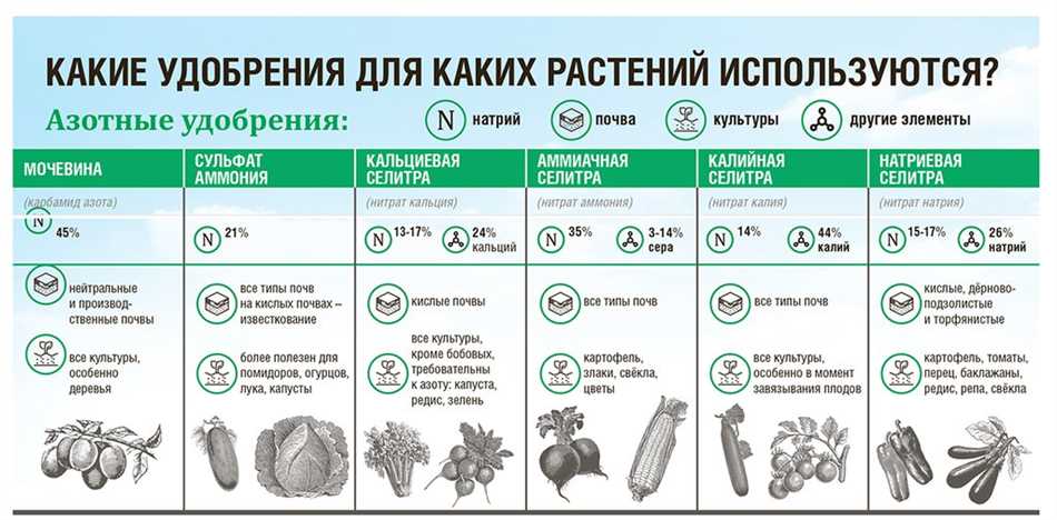 1. Полный комплекс необходимых питательных веществ