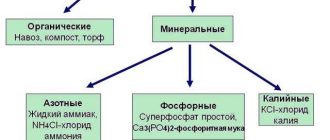 Что относится к простым минеральным удобрениям?