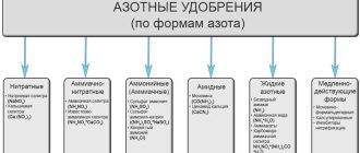 Азотные удобрения: виды и варианты применения