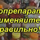 Все, что нужно знать о биопрепаратах