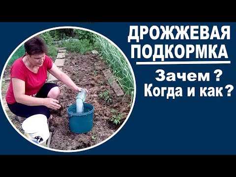 Натуральная дрожжевая подкормка