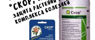 Что такое системный пестицид? - Определение и принципы действия