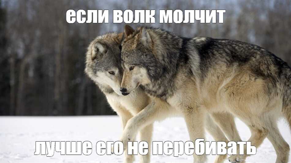 Популярные примеры тумача