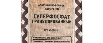 Удобрение огородник фосфорное: ключевые особенности и преимущества