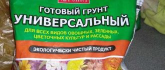 Универсальный грунт: что это такое и чем отличается от других видов грунтов?