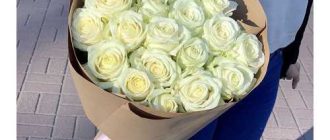 Что значит 19 роз на языке цветов - значение и символика