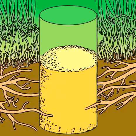 Методы применения корневой подкормки