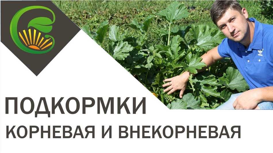 3. Высокая эффективность