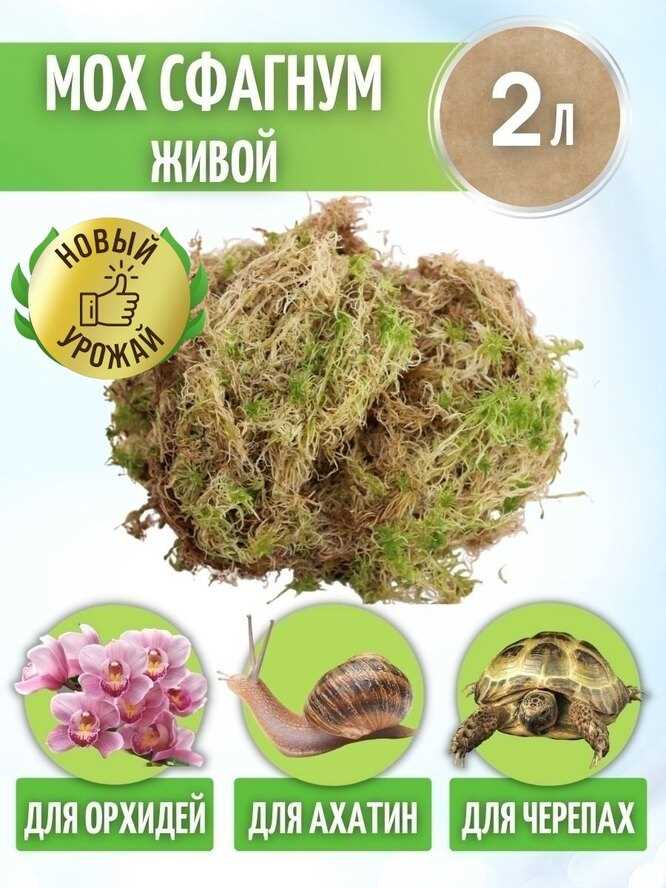 Увлажнение почвы