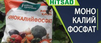 Монокалий фосфат в огороде: преимущества и применение