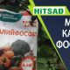 Монокалий фосфат в огороде: преимущества и применение